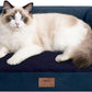 Small Dog Bed and Cat Sofa Waterproof Orthopedic Dog Beds for Small Dogs Cat Bed Comfy Pet Couch Sofa Beds with Washable Removable Cover & Non-Slip Bottom