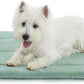 Made4Pets Dog Crate Pad Bed for Small Dogs, Washable & Reversible, Anti-Slip Kennel Mat for Cozy Sleeping, Soft Fluffy Dog Bed for Indoor & Outdoor Use, 24"x18", Green