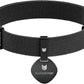 Safety Cat Collar and ID Tag Set - Elastic Quick Release Non Breakaway Personalized Anodized Aluminum Engraved Pet Name Tag, Lightweight for Kitten Small Large Cats