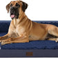Orthopedic XXL Dog Bed for Extra Large Dogs, Waterproof Memory Foam Dogs Bed with Sides, Egg-Crate Foam and Non-Slip Bottom Big Dog Couch Bed with Washable Removable Cover(XX-large,Navy Blue)