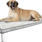 FXW TitanNest Chew-Proof Elevated Dog Bed, Raised Cot for Indoor/Outdoor/Camping Use, Durable & Waterproof Cooling Pet Bed with Exclusive Cover for Extra Large Dogs, 56.0" L x 31.0" W x 7.3" H, Black