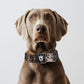TSPRO Tactical Dog Collar 1.5 Inch Wide Thick Dog Collars with Heavy Duty Metal Buckle, Durable, Strong, Adjustable for Medium to Large Dogs (Leopard Print L)