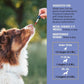 Cough Support for Dogs & Cats, Dry and Wet, Respiratory & Cold, Made in USA, 2oz