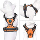 PHOEPET No Pull Dog Harnesses for Small Puppies Reflective Adjustable Front Clip Vest with 2 Metal Leash Clips and Soft Handle(XS, Orange)