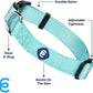 Blueberry Pet Essentials X-Small Dog Collar in Mint Blue | Adjustable & Eco-Friendly Durable Nylon Strap | Classic Collar for X-Small Dogs, Boy & Girl Pets