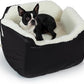 Snoozer Lookout I Car Seat - Dog Car Seats for Small Dogs, Puppy Booster Bed for Small & Medium Sized Pets Up to 25 Lbs, Elevated, Washable - Medium, Black Diamond