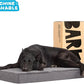 Barkbox Orthopedic Dog Bed with Memory Foam, Premium Comfort for Dogs and Puppies, Dog Bed for Joint Relief and Restful Sleep, Durable and Easy to Clean - Grey, XL