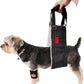 Dog Lift Harness - Adjustable Sling for Rear Legs with Soft Support for Senior, Injured, Disabled Dogs After ACL Surgery - Helping Pets with Canine Aid and Rehab Support (M)