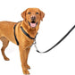PetSafe 3 in 1 Dog Harness - No Pull Solution for Dogs - Reflective Dog Harness - Front D-Ring Clip Helps Stop Pulling - Comfortable Padded Straps - Top Handle Enhances Control - Black - Large