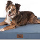 Orthopedic Dog Bed for Large Dogs - Pet Bed with Removable Washable Cover, Big Waterproof Dog Bed for Large Sized Dogs with Egg Crate Foam, Blue