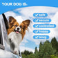 Dog Seat Belt Harness for Car,2pcs Dog Seatbelt of Coated Wire Leash Safety Restraint,No Chew Tether Cable Vehicle Dog Accessories,Double Clips & Latch (2 Pack Red+Blue, 32 inch/80 CM)