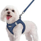 rabbitgoo Dog Harness Small Sized and Leash Set, Step in Soft Light Puppy Vest, Breathable Mesh Pet Harness, Reflective for Safe Outdoor Walking, Navy Blue M