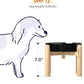 LE TAUCI Ceramic Slow Feeder Dog Bowls Elevated, 1.5 Cups Raised Dog Food Bowl with Wooden Stand for Small Medium Breed, Pet Dishes to Slow Down Eating, Skull Black