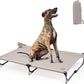Daisy Cot, XL Foldable Elevated Dog Bed, Portable Raised Outdoor Folding Dog Cot, Cooling, Chew Proof, Waterproof, Heavy Duty Up to 160 lbs for Camping/Home, Brown, 49"x 33"x7"