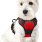 rabbitgoo Dog Harness No Pull with 2 Leash Clips, Adjustable Soft Padded, Reflective Oxford No Choke Pet Vest with Easy Control Handle for Puppy, Red,XS