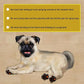 Dog Paw Pads Anti-Slip Grips,Dog Paw Protectors for Senior Dogs on Hot Pavement,Provides Traction to Keep Them from Slipping on Smooth Floors 12 sets-48 Pads Black M
