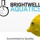Brightwell Aquatics MicroBacter Clean - Microbial Culture & Enzyme Blend Fish Tank Cleaner - Cleans Live Rock Surfaces for Saltwater Fish Habitats - Aquarium Water Treatments, 16.9 fl oz