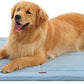 Made4Pets Dog Crate Pad Bed for Large Dogs, Washable & Reversible, Anti-Slip Kennel Mat for Cozy Sleeping, Soft Fluffy Dog Bed for Indoor & Outdoor Use, 44"x32", Blue
