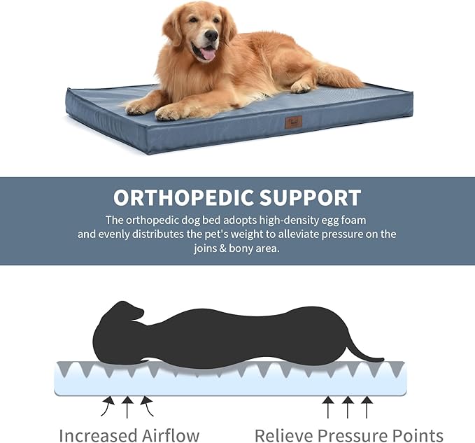 Medium Dog Bed for Medium/Small Dogs, Orthopedic Dog Beds with Removable Washable Waterproof Cover, Egg Crate Foam Pet Bed Mat, Blue