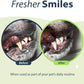 Dental Fresh Water Additive for Cats, Original Formula, 8 oz – Cat Breath Freshener – Products for Cats to Help Overall Cat Dental Health