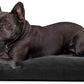 K9 Ballistics Tough Rectangle Pillow Medium Dog Bed - Removable Cover, Washable, Durable & Water Resistant Dog Bed Made for Small Dogs 24"x18" Obsidian Black