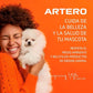 ARTERO HIDRATANTE Shampoo 180oz