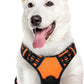 Eagloo Dog Harness for Large Dogs, No Pull Service Vest with Reflective Strips and Control Handle, Adjustable and Comfortable for Walking, No Choke Pet Harness with 2 Metal Rings, Orange, XL