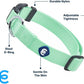Blueberry Pet Essentials Small Dog Collar in Pastel Green | Adjustable & Eco-Friendly Durable Nylon Strap | Classic Collar for Small Dogs, Boy & Girl Pets