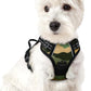 rabbitgoo Dog Harness No Pull with 2 Leash Clips, Adjustable Soft Padded, Reflective Oxford No Choke Pet Vest with Easy Control Handle for Large Dogs, Green Mountain,XS