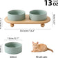 Ceramic Elevated Cat Food and Water Bowl, Kitty Bowl, Raised Cat Dish, Pet Feeder (5.1 in, 2 x Light Green + Stand)