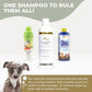 PetScy - Aloe & Oatmeal Shampoo for Dogs and Cats, Moisturizing Pet Shampoo for Skin Relief, All-Natural, Soap-Free & Gentle, Pina Colada Scent, 12 Oz