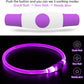 Light up Dog Collar, BSEEN USB Rechargeable Flash Dog Necklace Light, Pet Safety Collar Makes Your Beloved Dogs Be Seen at Night for Small Medium Large Dogs(Purple)
