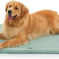 Made4Pets Dog Crate Pad Bed for Large Dogs, Washable & Reversible, Anti-Slip Kennel Mat for Cozy Sleeping, Soft Fluffy Dog Bed for Indoor & Outdoor Use, 44"x32", Green