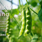 Vegetable Seeds Kit Fruit Seeds for Planting Non-GMO and Heirloom 35 Varieties Seeds for Planting Vegetables 10 Plant Markers