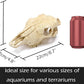Aquarium Skull Décor Fish Hideout Cave Decorations Betta Tarantula Reptile Snake for Terrarium Ornament Dinosaur Animal Large Bones Halloween
