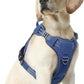 rabbitgoo Dog Harness Medium Sized No Pull, Tactical Service Pet Vest with Molle and Control Handle, Adjustable and Reflective Military Harness for Easy Walking and Training, Blue, M