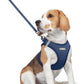 rabbitgoo Dog Harness Small Medium Sized and Leash Set, Step in Soft Light Puppy Vest, Breathable Mesh Pet Harness, Reflective for Safe Outdoor Walking, Navy Blue L