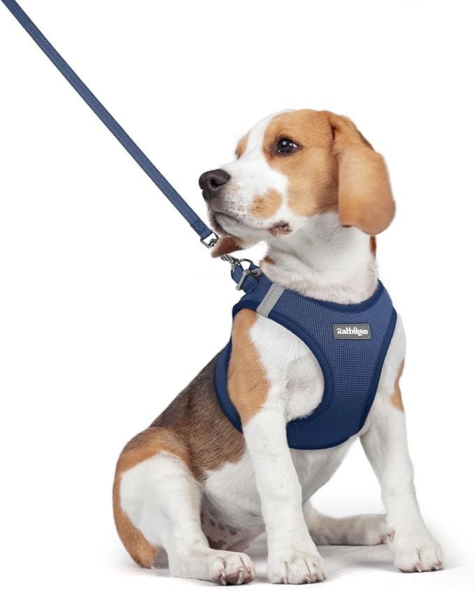 rabbitgoo Dog Harness Small Medium Sized and Leash Set, Step in Soft Light Puppy Vest, Breathable Mesh Pet Harness, Reflective for Safe Outdoor Walking, Navy Blue L