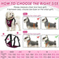 SlowTon Dog Seat Belt Harness for Car, Dog Car Harness Adjustable Mesh Breathable & Dog Seatbelt Safety Tether with Elastic Bungee for Small Medium Large Pets(Burgundy, Single Clip, L)