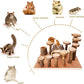 Wooden Chinchilla Platform Toy - Activity Playground Stand Ladder Hideout Set Bridge Ramps Chew Toys for Mouse, Dwarf Hamster, Gerbil, Rat, Sugar Glider, Syrian Hamster, Small Animals