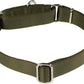 Hyhug Pets Premium Upgraded Heavy Duty Nylon Anti-Escape Martingale Collar for Boy and Girl Dogs Comfy and Safe - Professional Training, Daily Use Walking. (Army Green, Large)