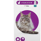 BRAVECTO Topical Solution for Cats, Flea & Tick, 12 Week Supply, >13.8-27.5 lbs., Purple Box