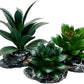 Smoothedo-Pets Reptile Artificial Plants Succulent Terrarium Decor Desert Rainforest Plant Lizard Beard Chameleon Gecko Snake Amphibious Sea Turtle Tank Accessory (Dark-Green-3pcs-Se)