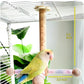 Bird Stand Perch Toy, 360° Rotating Natural Wooden Parrot Perch for Bird Cages, Colorful