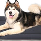 Large Dog Bed Soft Crate Pad Mat 47" Machine Washable with Non-Slip Bottom for Large Medium Dogs