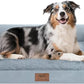 Extra Large Dog Bed-Orthopedic Waterproof XL Dog Bed for XLarge Extra Big Dogs - Foam Couch Sofa Washable with Removable Cover-Grey