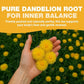 HANDPICK, Dandelion Root & Leaf Tea Bags (100 Herbal Tea Bags) Caffeine-Free Herbal Blend | Eco-Conscious Teabags | Direct from Source