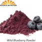 100% Pure Wild Blueberry Powder | Rich in Antioxidants | Made with Canada Grade-A Wild Crafted Blueberries, Perfect for Smoothies, Snacks & Baking (8 oz)