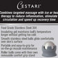 Cestari Stainless Steel Ice Hot Cold Roller for Pain Relief, Foot Massage Ball with Silicone Holder, HSA Muscle Roller, Gray