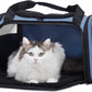 PETSFIT Pet Carrier, Dog Carrier Airline Approved, Collapsible Soft Sided TSA Approved Pet Carrier for Small and Medium Cats, Puppies Up to 12 Lbs, Cat Travel Carrier, Blue